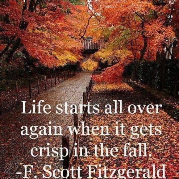 Meet your Posher, Michelle - Picture 1 of 1